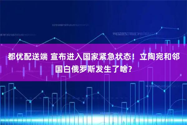 都优配送端 宣布进入国家紧急状态！立陶宛和邻国白俄罗斯发生了啥？