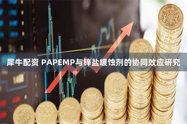 犀牛配资 PAPEMP与锌盐缓蚀剂的协同效应研究