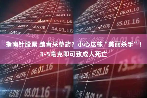 指南针股票 踏青采草药？小心这株“美丽杀手”！3-5毫克即可致成人死亡