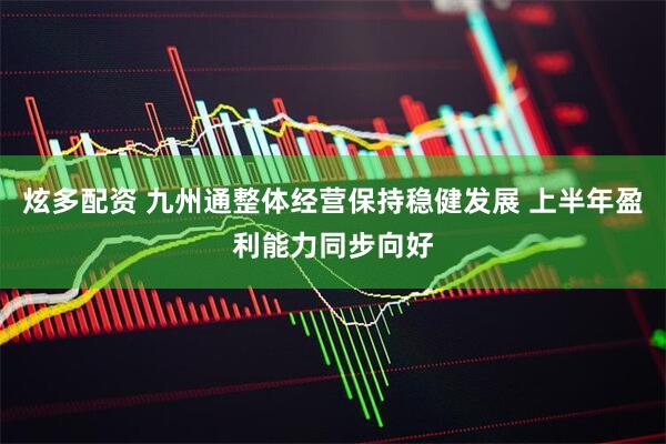 炫多配资 九州通整体经营保持稳健发展 上半年盈利能力同步向好